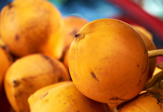 Beautiful yellow coconut sold on the roadside, traveling in Sri Lanka