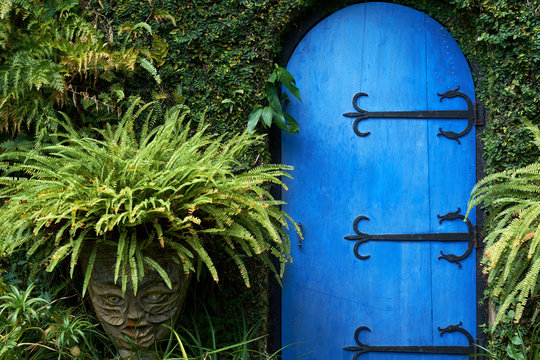 The fairy tale blue door in the rainforest, beautiful scenery in Sri Lanka.