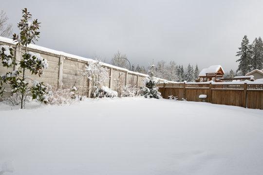 Back Yard Snow Fall