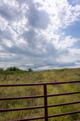 Fototapeta na wymiar farm gate, native grasses and vivid skies