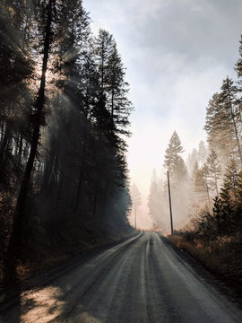 Smoke from a large fire