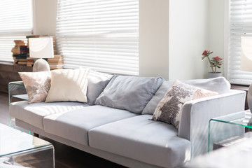 Interior of a stylish sunny living room with comfortable grey sofa near the window