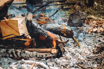 On the fire fry eggplant