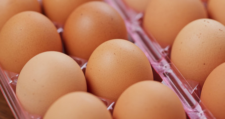 Pack of the chicken egg