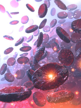 Blood cells