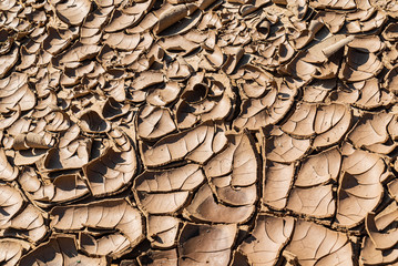 Detail Of Dry Ground On The Desert - Texture / Pattern