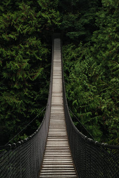 Mysterious Suspension Bridge