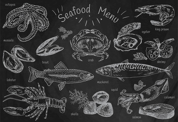 seafood menu, octopus, mussels, lobster, trout, shells, mackerel, crab, oyster, king prawns, shrimps, squid, salmon, calamari on chalkboard background - 291864730