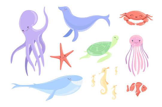 Lovely underwater animals set, clown fish, jellyfish, seahorse, starfish, whale, fur seal, turtle, octopus cute sea creatures vector Illustrations on a white background