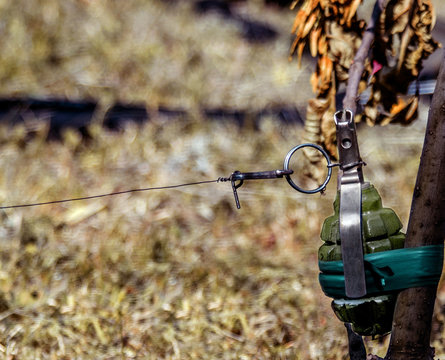 grenade wire trap (grenade of russian origin type f-1)