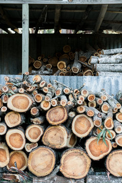 Firewood