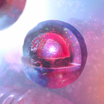 cross section of cell