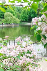 Fototapeta na wymiar Walk on a warm sunny day in the park Volkspark Friedrichshain, lake in the park with ducks