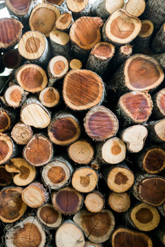 Firewood