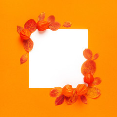 Autumn leaves on an orange background