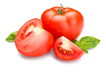 Fresh tomatoes on white background