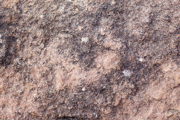 rock skin , stone texture , boulder surface