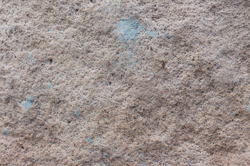 rock skin , stone texture , boulder surface