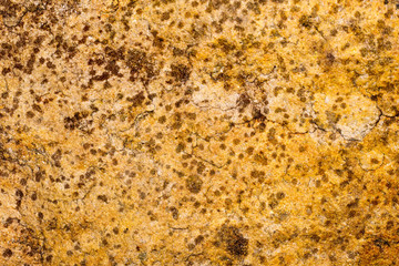 stone texture , rock surface , boulder skin