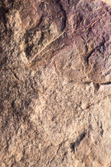 stone texture , rock surface , boulder skin