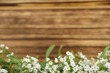 empty wooden wall  flowers at the bottom