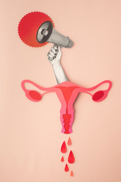 Menstruation. Feminine world