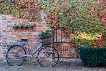 Bicycle leaning on brickwall