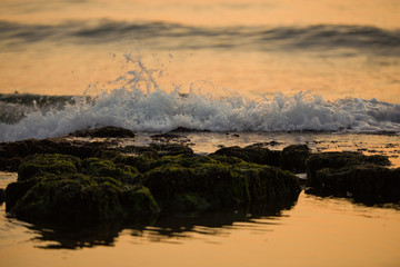 Rocks and sea The natural landscape
