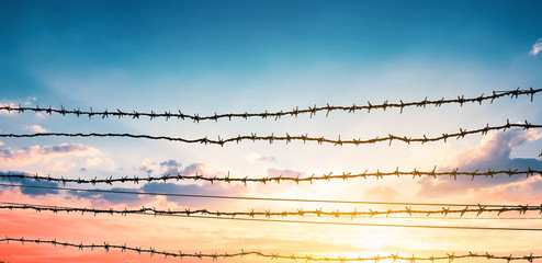 Human Rights Day concept:  barbed wire on  sunset background