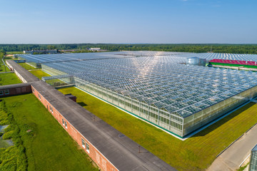 greenhouse complex panorama from the height