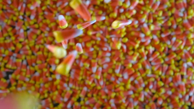 Pieces of candy corn are seen slowly dropping into a large pile of candy corn.