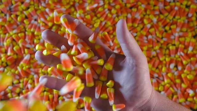A hand is shown above a large pile of candy corn. Candy corn is seen dropping on top of the hand.