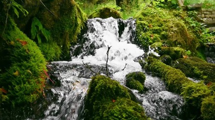 waterfall in forest