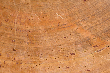 old wood background