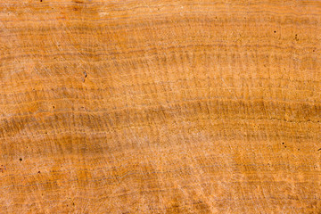 wood texture background