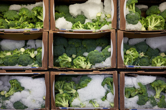 Fresh broccoli florets with ice in a grocery store. Shelf life of perishable foods.