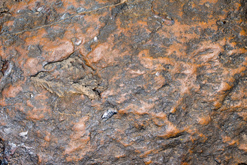 old wall texture