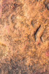 abstract grunge background