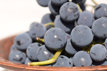 Branches of grapes just picked in ceramic plate closeup. Shallow depth of field