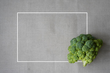 Trendy ugly organic broccoli with spots on grey background with white frame.
