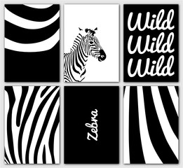 Fototapeta na wymiar Zebra Postkarten