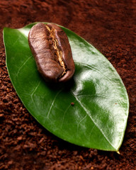 coffee bean with a green leaf on the background of ground coffee. concept: freshness of coffee beans. vertical view