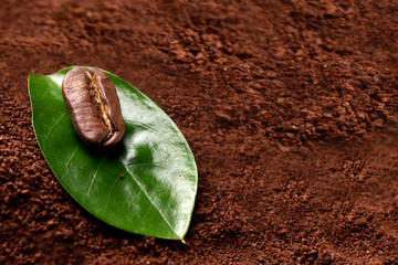 coffee bean with green leaf on ground coffee. concept: freshness of coffee beans. close up