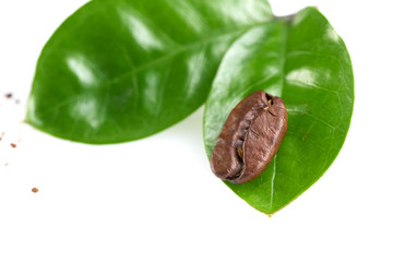 coffee bean with two green leaves on a white background, isolate. concept: freshness of coffee beans.