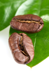 Obraz premium two coffee beans with a green leaf on a white background, isolate. concept: freshness of coffee beans. vertical view