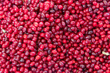 Cranberry fruits stacked on a surface as background.