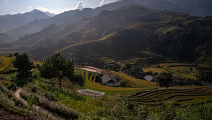 Viewpoint terraced rice fields the morning sun shines on the rice fields. Pure and fresh and clear air at Mu Cang Chai in Vietnam.