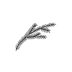 Naklejka premium Fir branch. Hand drawn. Vector line illustration.