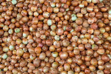 Onion vegetables stacked on a surface as background.