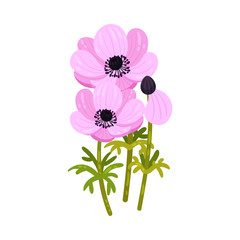 Pink spring flowers. Vector illustration on a white background.